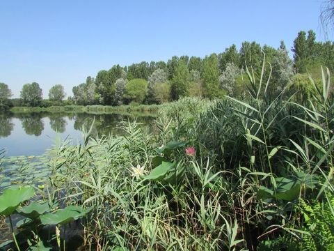 Mantua Häuser, Mantua Haus kaufen