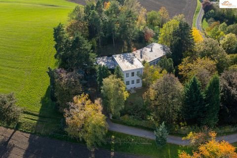 Enzenreith Häuser, Enzenreith Haus kaufen