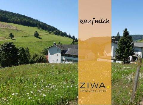 Todtnauberg Wohnungen, Todtnauberg Wohnung kaufen