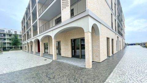 Pixendorf Ladenlokale, Ladenflächen 