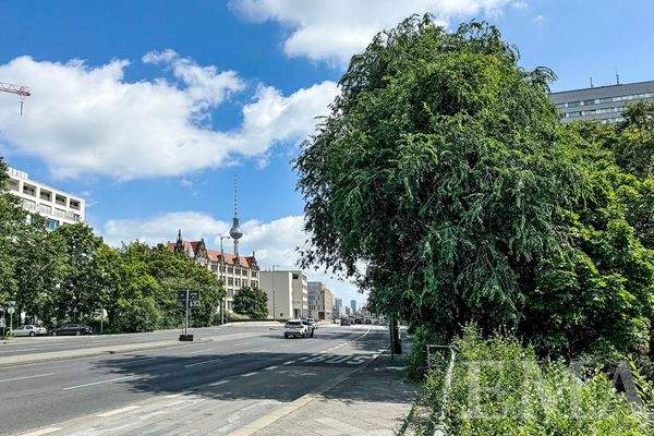 Blick zum Fernsehturm