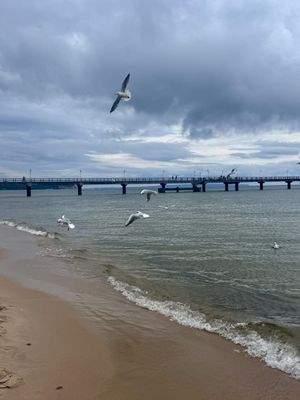 Strand von Göhren mit Seebrücke