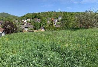 Top-Lage mit Weitblick