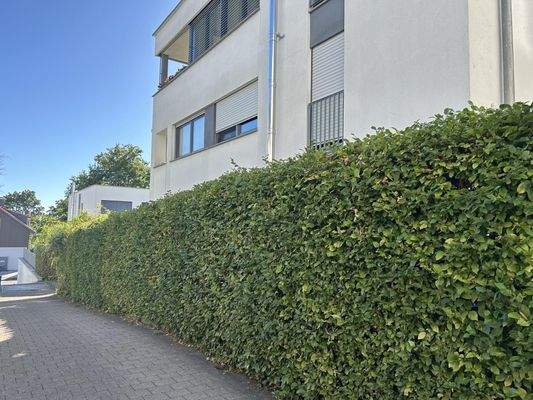 eingewachsener Garten Osten