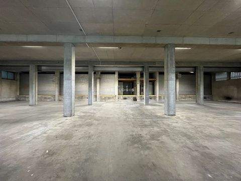 Kornwestheim Halle, Kornwestheim Hallenfläche