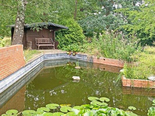 Idyll am Naturteich