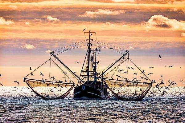 Freilenzen in Dornum