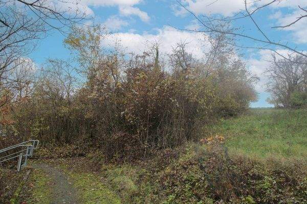 Weg zum Grundstück