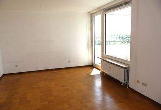 Großes Wohnzimmer mit Parkettboden