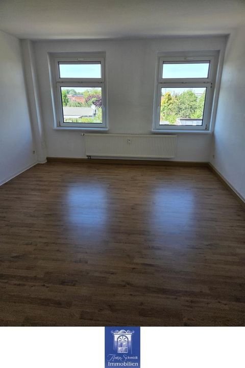 Riesa Wohnungen, Riesa Wohnung mieten