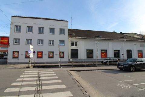 Salzburg Halle, Salzburg Hallenfläche