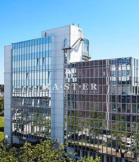 Berlin Halle, Berlin Hallenfläche