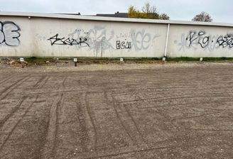 WhatsApp Image 2024-11-11 at 12.32.33