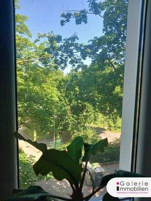 Blick aus der Wohnung