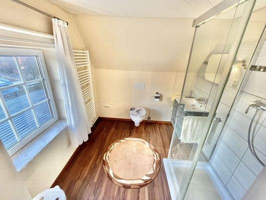 Duschbad Dachgeschoss