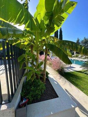 f9f26d1b-5e81-4c01-9744-680ac75eaf65