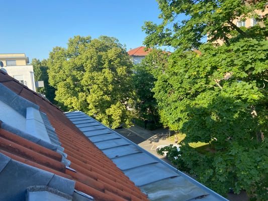 Blick von Dachterrasse Wohnen