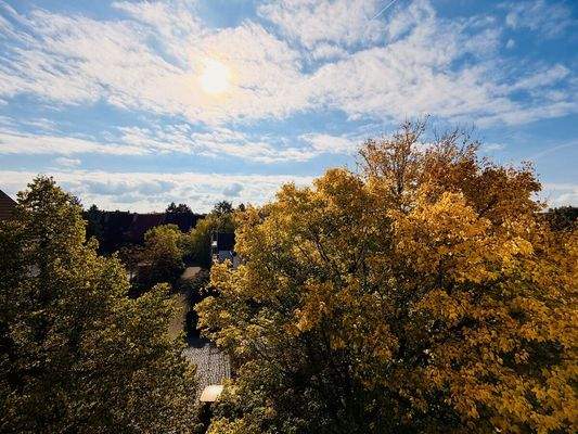 Balkon mit schönem Blick ins Grüne
