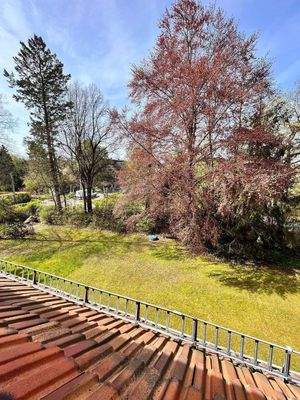 Foto 04.05.23, 10 42 00.jpg