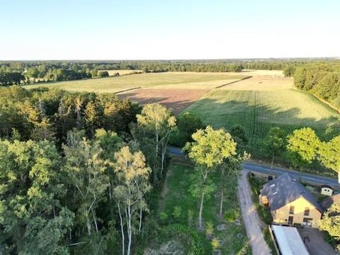 Adenbüttel Wohnungen, Adenbüttel Wohnung mieten