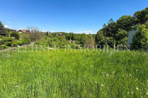 Lehner Immobilien Bild 4