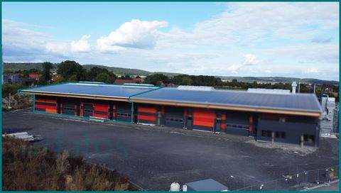 Bad Iburg / Sentrup Halle, Bad Iburg / Sentrup Hallenfläche