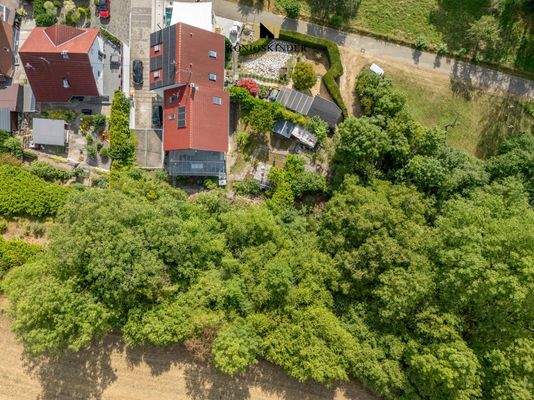 Große Terrasse mit Blick ins Grüne – Wohnen mit direktem Zugang zur Natur und eigenem Waldstück.