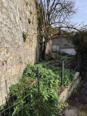 Kleine Gartenfläche.jpg