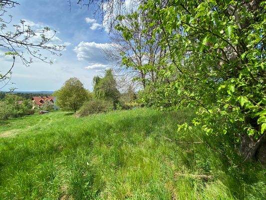 09-Blick-von Osten.JPG