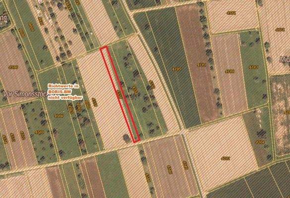 Flurstück 4556