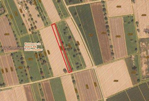 Balingen Grundstücke, Balingen Grundstück kaufen