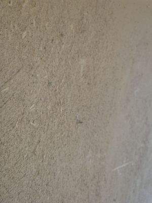 Lehmputz im großen Aufenthaltsraum Wohnung Nr. 3