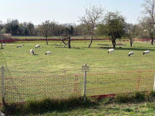 viel Grün direkt um die Ecke