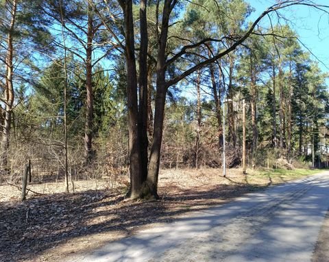 Mittenwalde Grundstücke, Mittenwalde Grundstück kaufen