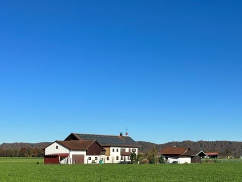 Haiming Häuser, Haiming Haus kaufen