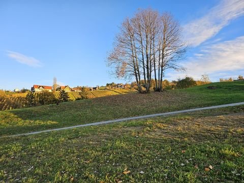 Leibnitz Bauernhöfe, Landwirtschaft, Leibnitz Forstwirtschaft