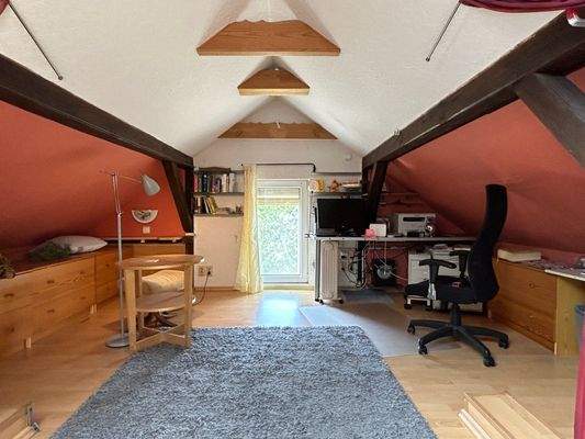 DG ausgebaut Gartenseite