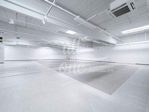 Klagenfurt Ladenlokale, Ladenflächen 