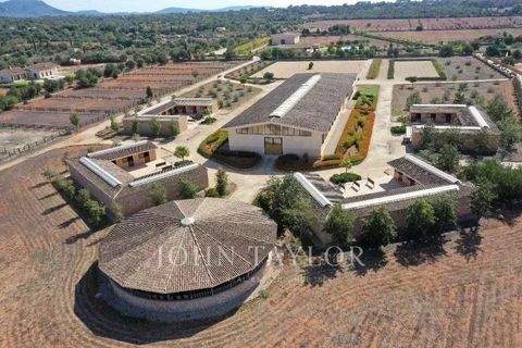 Llucmajor Bauernhöfe, Landwirtschaft, Llucmajor Forstwirtschaft