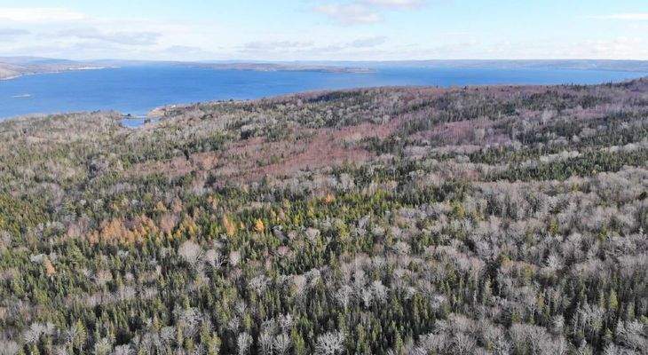 Cape Breton - Bras d`Or Lake - 18-Hektar-Areal in 