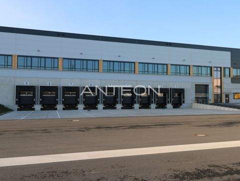 Mönchengladbach Halle, Mönchengladbach Hallenfläche