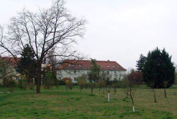 Blick auf eine Streuobstwiese.