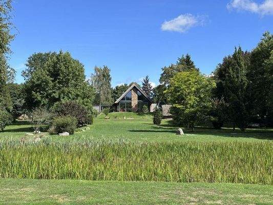 Blick über den Teich