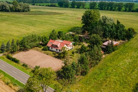 Neutrebbin Häuser, Neutrebbin Haus kaufen