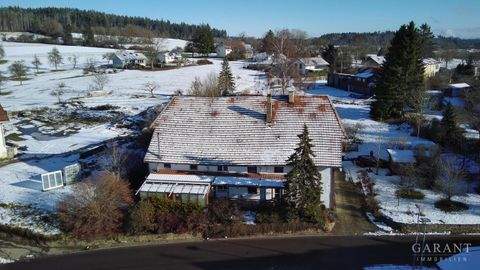 Ühlingen-Birkendorf Häuser, Ühlingen-Birkendorf Haus kaufen