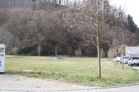 Hausen im Wiesental Grundstücke, Hausen im Wiesental Grundstück kaufen