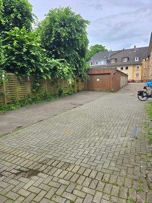 20250607_124559_resized