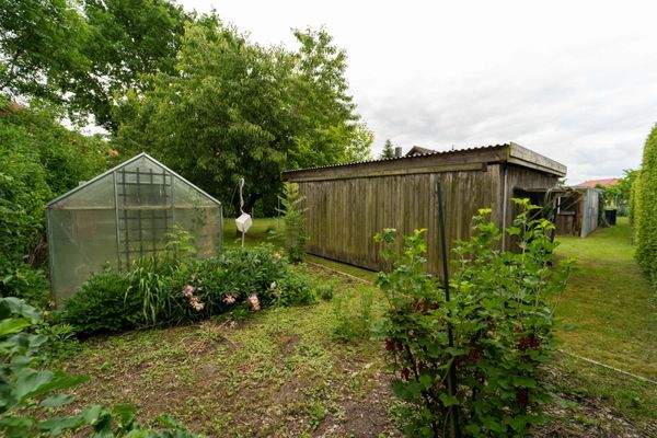Garten mit Gewächshaus