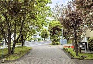 Impressionen Umfeld/Blick auf die Terrasse