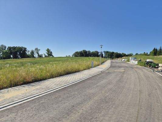 Blick Richtung Norden